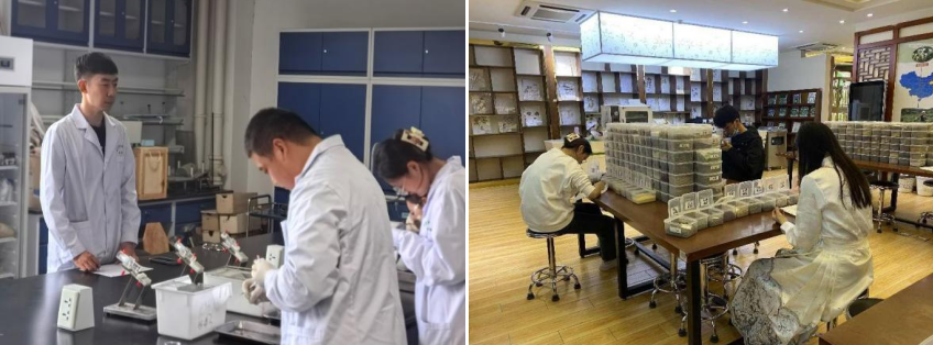 屏幕截图 2024-05-10 141116.png