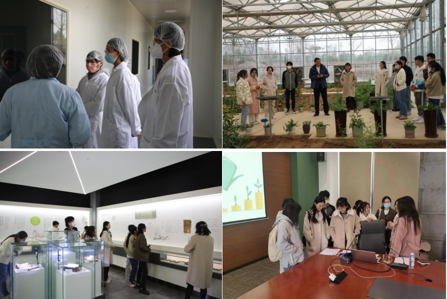 屏幕截图 2024-06-14 163045.png